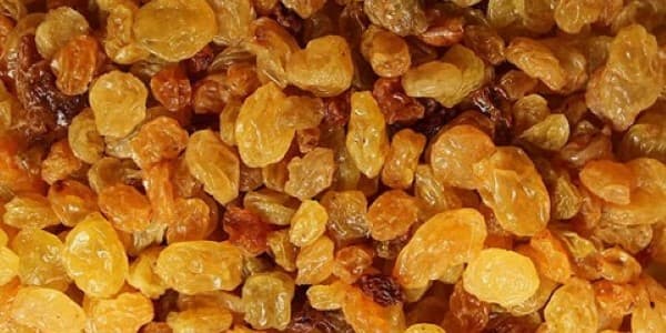 تصویر 4 از خرید کشمش درجه یک ملایر + قیمت فروش استثنایی
